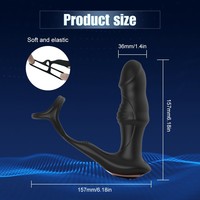 10 stimulateurs anaux vibrants et pulsatoires, stimulateur de testicules, retardateur d'éjaculation, masseur de prostate, télécommande, 7 fréquences