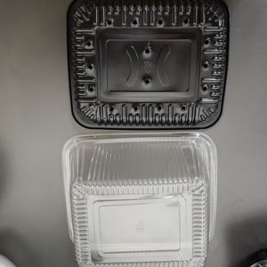 Disesuaikan sekali pakai plastik hitam peliharaan bawah nampan dengan lubang jelas tutup tinggi kacang kecambah pembibitan kucing rumput nampan dijual kemasan - Product Image 3