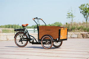 Famille cargo tricycle trois roues tricycle adulte prenant enfants <span class=keywords><strong>vélo</strong></span> <span class=keywords><strong>4</strong></span> enfants sièges boîte en bois moto - Product Image 4