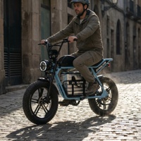 Vélos électriques à gros pneus à couple élevé pour adultes avec frein hydraulique, vélo électrique puissant pour livraison urbaine intensives