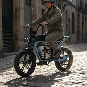 Vélos électriques à gros pneus à couple élevé pour adultes avec frein hydraulique, vélo électrique puissant pour livraison urbaine intensives - Product Image 3