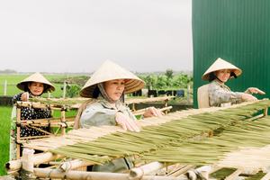Varillas de Incienso de Eucalipto Orgánico Hechas a Mano de Primera Calidad, Hojas Naturales Ecológicas, Aromaterapia, Aroma Duradero, Meditación - Product Image 4