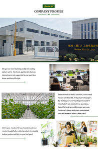 Vente en gros de kit de plantes succulentes artificielles Aeonium Egg Greenovi <span class=keywords><strong>Bonsaï</strong></span> d'intérieur, <span class=keywords><strong>engrais</strong></span>, pots de fleurs et jardinières - Product Image 6