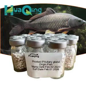 Top Quality Carp Pituitary Gland For Fish Breeding