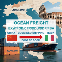China nach Italien Europa Seefracht-Spedition Versandagentur Tür-zu-Tür per Seefracht Logistik Mit FCL LCL DDP DAP FOB EXW Zollabwicklung