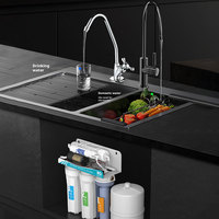 Purificateur d'eau RO à connexion rapide universelle, filtration en cinq étapes, machine de filtration par osmose pour la consommation directe à domicile en famille