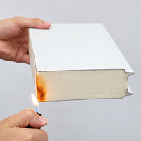 Panneau sandwich PIR avec acier galvanisé pour les murs extérieurs des entrepôts industriels - Écologique et résistant au feu