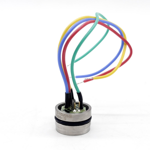 Capteur de silicium diffusé importé de haute précision OEM Core 210 - Product Image 4