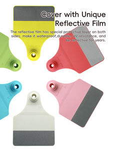 ออกแบบใหม่ 2 ชิ้นประเภทขนาดใหญ่วัวสะท้อนแสงแท็กหูสีเหลือง - Product Image 5