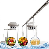 Chambre froide Ruoshui avec panneau solaire pour compresseur, facile à utiliser, pour la congélation des aliments et des fruits