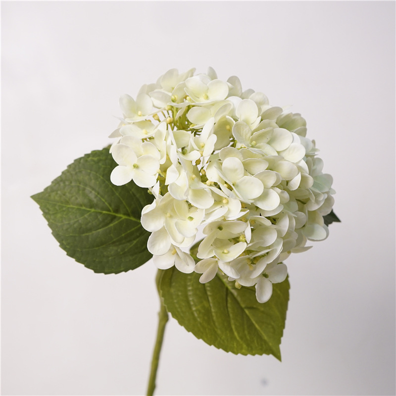 Verde blanco