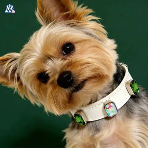 Collar para Mascotas Blanco Ajustable Estilo Lujoso para Razas Pequeñas Decorado con Diamantes - Product Image 3