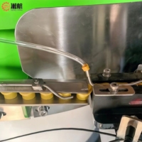 Nouvelle machine d'alimentation vibratoire à bol en acier inoxydable 220V avec moteur PLC pour système d'emballage de capsules