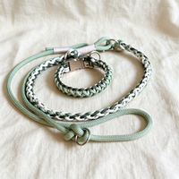 Ensemble collier et laisse pour chien en paracorde, tressé à la main, à libération rapide avec boucle en métal, pour la promenade en plein air, l'entraînement, accessoires pour animaux de compagnie