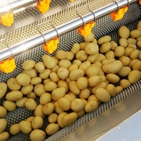 Machine de nettoyage de brosse de gingembre de laveuse de fruits automatique industrielle commerciale avec PLC et composants de noyau de moteur