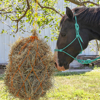 Fabricant professionnel de produits équestres : Licol d'entraînement avec longe pour l'équitation, licols et longes pour chevaux