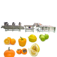 Automatische Aardappelpeer Sinaasappeltomatenreinigingsmachine Groentefruitreinigingsmachine