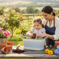 Jardinière décorative en acier galvanisé, pots de jardin en métal pour légumes, fleurs, herbes, maison