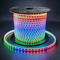 Tira de Luces LED RGB Direccionables IP67 a Prueba de Agua, AC110V 220V/DC24V, con WiFi y DMX, Sincronización Musical por Aplicación, para Paisajismo