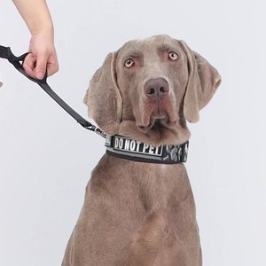 Manufacturer New Design Tactical <strong>Dog</strong> <strong>Collar</strong> Nylon Reflective Heavy Duty Adjustable for Large Medium <strong>Dogs</strong> <strong>Hunting</strong> Training - Product Image 6