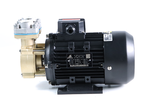 ปั๊มน้ำมันอุณหภูมิสูงและต่ำ ALK ปั๊มสแตนเลส SUS316 - Product Image 2