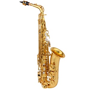 Source transfrontalière E-Flat Alto Saxophone Surface dorée laquée Côtes simples et côtes doubles pour examens débutants Utilisation universelle - Product Image 1