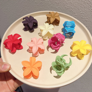Pinzas de Pelo Mini de Plástico <span class=keywords><strong>Color</strong></span> Macaron Mate al por Mayor para Mujer, Diseño Lindo Hawaiano y Europeo para Fiestas - Product Image 3