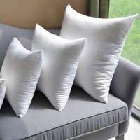 Coussin personnalisé directement de l'usine, décoration intérieure, oreiller de canapé-lit en plumes, vente en gros, oreiller et coussin blancs bon marché