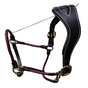 Wholesale Soft Leather Horse <b>Halter</b> with Knitted Design solid brass hardware anatomic headpiece design - Product Image 1