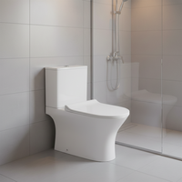 Cuvette de toilette en deux parties à double chasse d'eau de conception industrielle Siphonic Super Jet Washdown Hotels Options allongées P-Trap S-Trap à bas prix