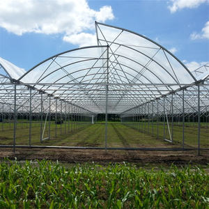 Baolida 8x37.5m 4m de haut tunnel PE <span class=keywords><strong>film</strong></span> plastique couvrant toit en pente conception serre en dents de scie à travée unique - Product Image 3