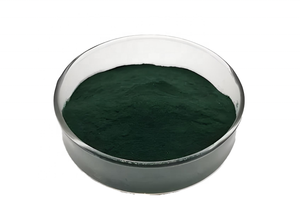 専門メーカー機能栄養強化剤栄養食品グレードクロレラプロテインクロレラパウダー - Product Image 2