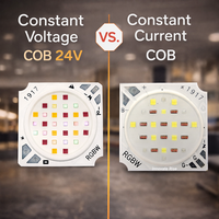 Nouveauté : Module LED COB 24W 1500-2500LM à tension constante 24V RGBW haute puissance avec CCT 3000-6500K pour éclairage commercial