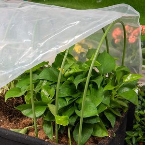 Arceaux de jardinage en acier avec revêtement plastique pour le soutien des plantes, tunnel de culture - Product Image 3