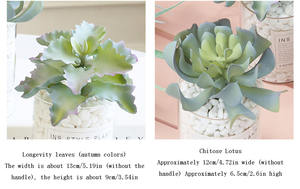 Plantes artificielles succulentes, non en pot, fausses fleurs, pour la décoration de la maison et du bureau, prix d'usine, - Product Image 6