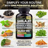 VitaSpring Oem Shilajit Ashwagandha Rhodiola Rosea Panax kapsul suplemen Korea Ginseng merah