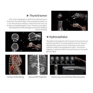 Système d'imagerie vétérinaire multimodale avec scanner CT, fluoroscopie DR et imagerie panoramique dentaire pour cliniques vétérinaires - Product Image 3