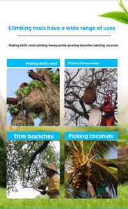 أداة تسلق الأشجار عالية الأداء، مع أحزمة موسعة ومُسمكة ولوح فولاذي مدمج لزيادة المتانة - Product Image 6