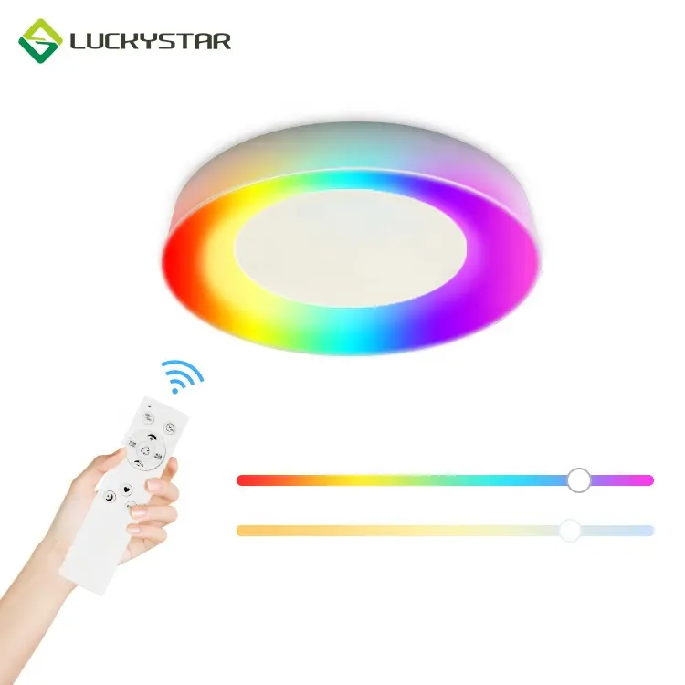 LED Flush Mount Ceiling Light Fixture 12 inch 16 inch RGB CCT Adjustable 25W 3500LM Surface Mounted Home Lighting Ceiling Lamps