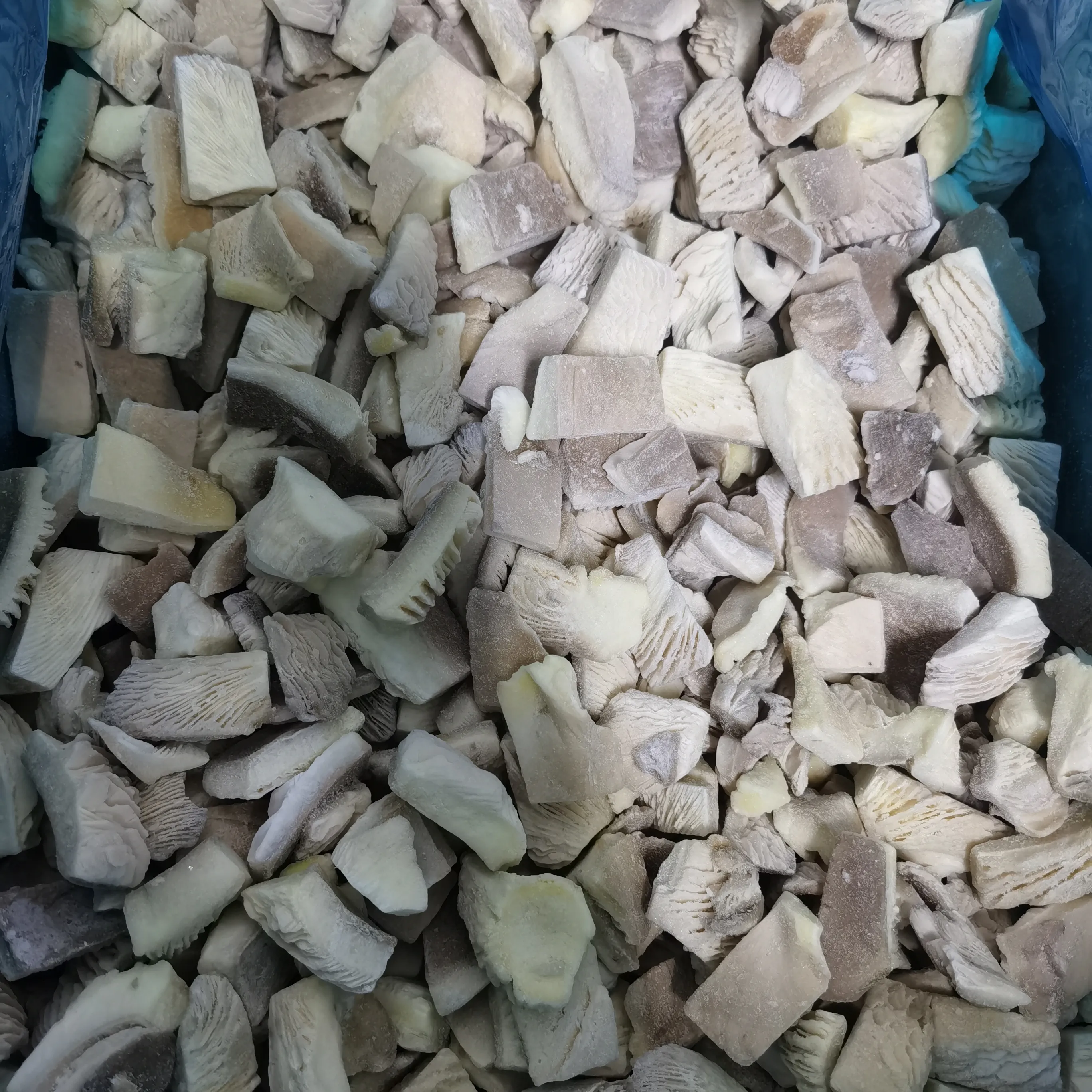 Chinês bom lanches saudáveis comida vácuo frito cogumelo ostra para compradores preços