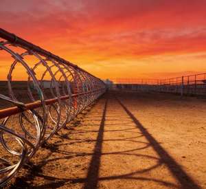 Alambre de púas BTO-22 de 450 mm con revestimiento de PVC y marco de WPC de alta resistencia, tipo concertina, para cercas de seguridad, precio de fábrica, personalizado - Product Image 6