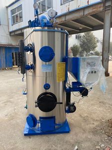 중페이 100kg 200kg 300kg 500kg 산업용 소형 바이오매스 보일러 공장 고품질 증기 발생기 - Product Image 5