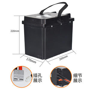 Zhongli Lithium <b>Battery</b> Pack 24V 40Ah <b>48V</b> 20Ah For Electric Forklifts 260x170x220mm LiFePO4 Solid State - Product Image 1