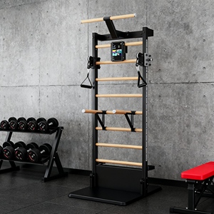 Paquete Completo de Escalera Sueca con Barras, Colchoneta, Correas y Guía de Entrenamiento para Gimnasio en Casa - Product Image 1