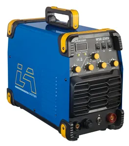 Factory price mma dc ac tig wse-200 tig welding machine