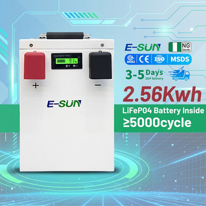 แบตเตอรี่ E-SUN Nigeria Stock 2.56kwh LiFePO4 25.6V 100AH เกรด A สำหรับระบบกักเก็บพลังงานภายในบ้าน - Product Image 1
