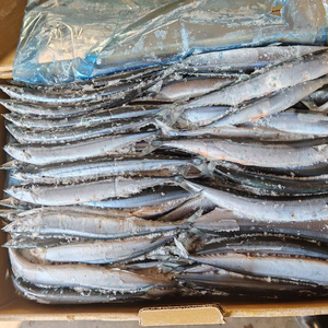 El mayor proveedor del mercado de pescado, Sashimi Grade Saury Fresh Frozen Pacific Saury Mackerel <span class=keywords><strong>Pike</strong></span> - Product Image 1