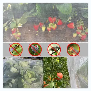 50 Mesh Landbouw Anti Insect Net Voor Kas/Insecten Gaas Voor Planten