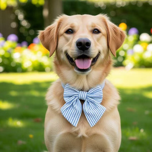 柔らかく環境に優しいコットンストライプの青と白のクリスマス調節可能な蝶ネクタイ付き犬用首輪（フックループと名入れオプション付き） - Product Image 2