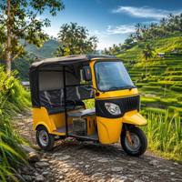 Tuk Tuk à essence haute performance 200cc, tricycle à 3 roues pour passagers, vitesse rapide, capacité de 1000 kg pour les services de taxi